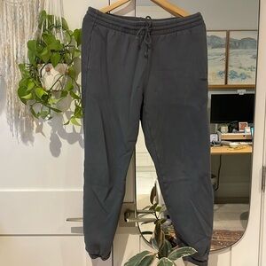 Aritzia Cozy Fleece Boyfriend Sweatpants